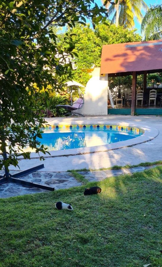 Villa Sonrisa Casa De Huespedes Лас Терренас Экстерьер фото
